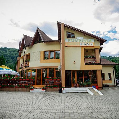 Pensiunea Floare De Colt Dragoslavele Exterior foto