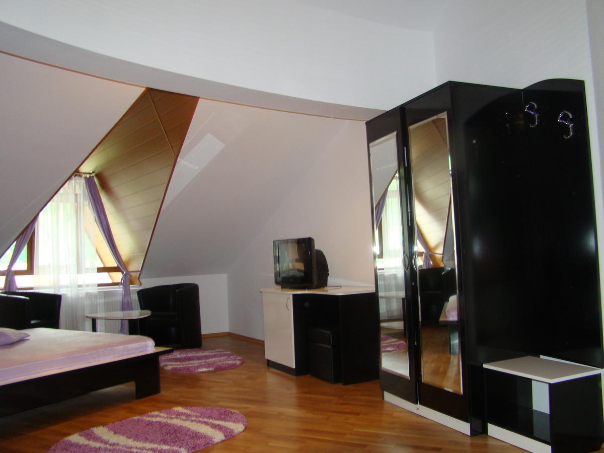 Pensiunea Floare De Colt Dragoslavele Habitación foto