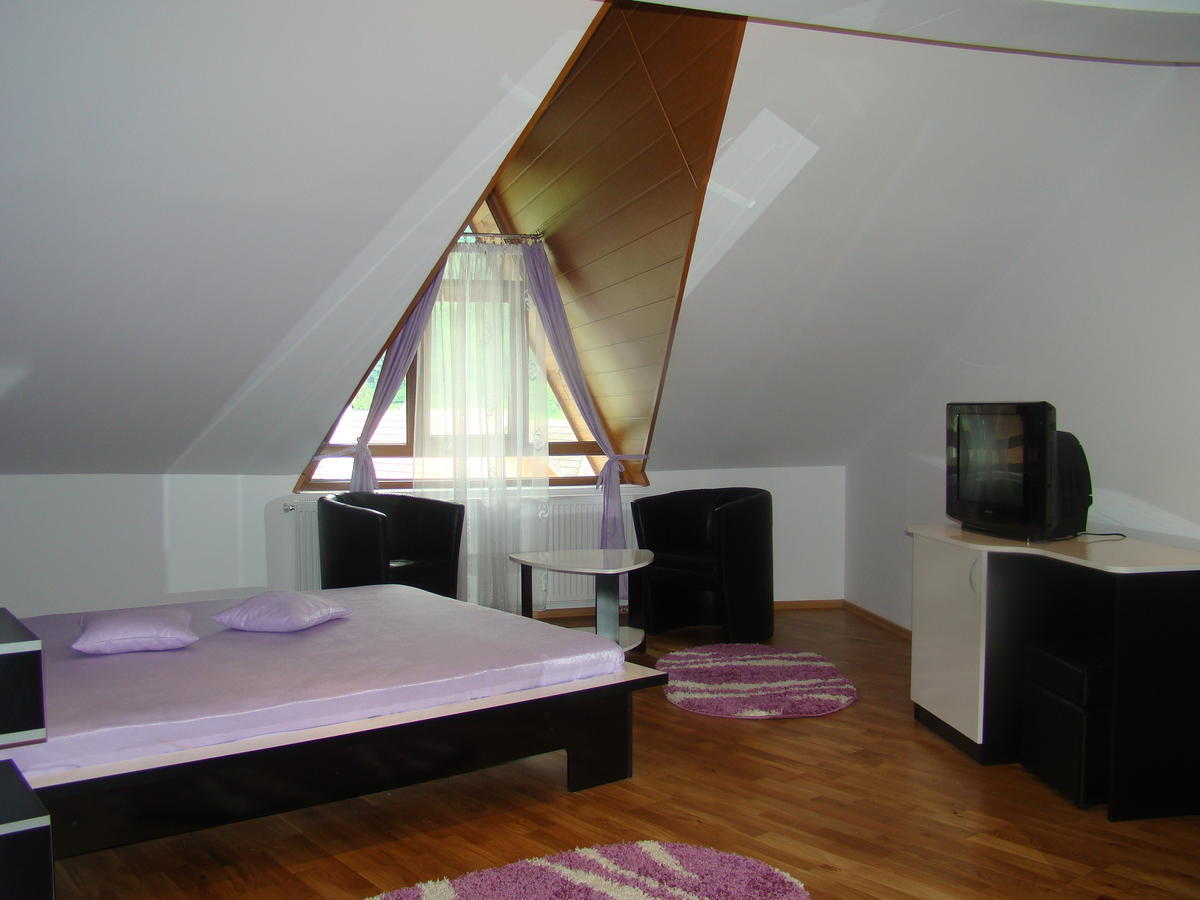 Pensiunea Floare De Colt Dragoslavele Habitación foto