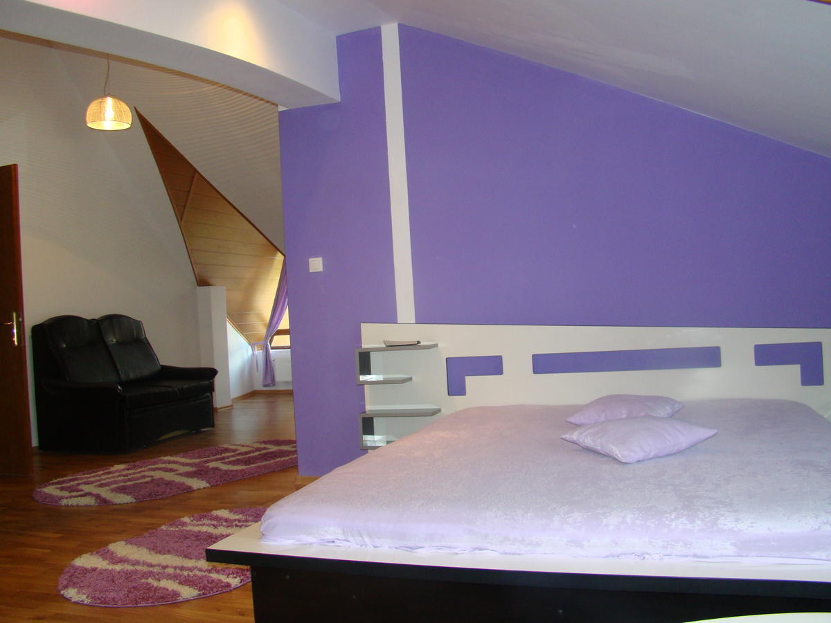 Pensiunea Floare De Colt Dragoslavele Habitación foto